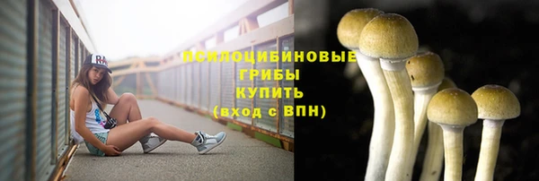 молекула духа Балахна