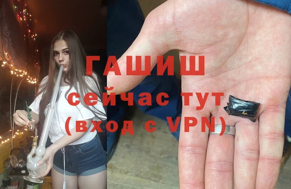 молекула духа Балахна