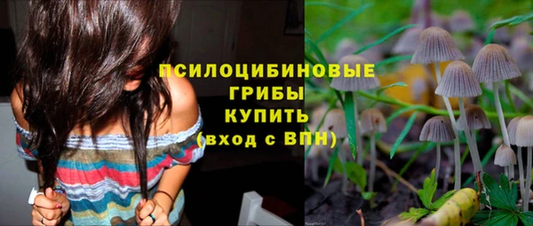 молекула духа Балахна