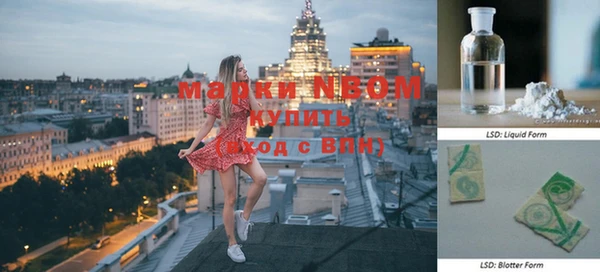 молекула духа Балахна