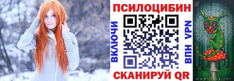 Псилоцибиновые грибы прущие грибы  блэк спрут как войти  Губаха  как найти закладки 