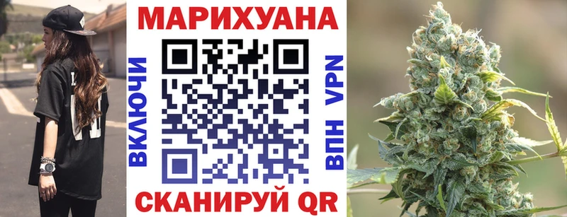 Конопля OG Kush  Губаха 